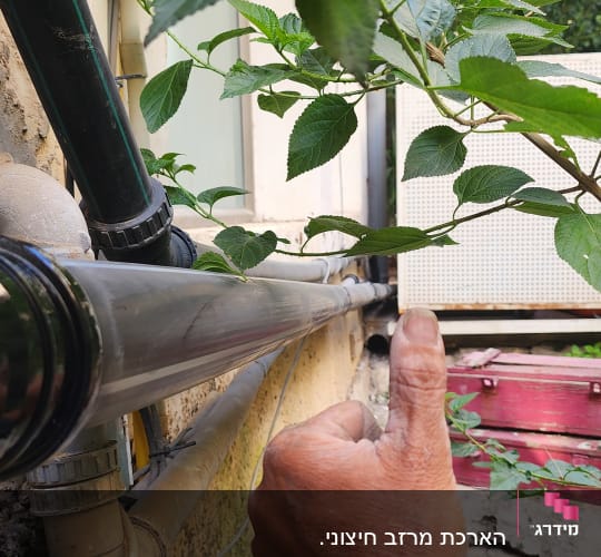 צינורות על קיר עם עלים ירוקים